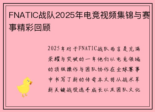FNATIC战队2025年电竞视频集锦与赛事精彩回顾