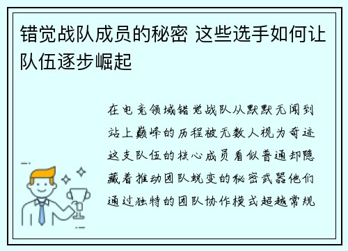 错觉战队成员的秘密 这些选手如何让队伍逐步崛起